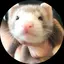 白玉玉露のプロフィール画像