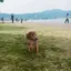 maのプロフィール画像