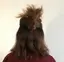 Aneのプロフィール画像