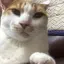 りえのプロフィール画像