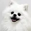 ぽめみのプロフィール画像
