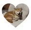 きょーみのプロフィール画像