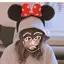 aaのプロフィール画像