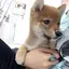 あすみんのプロフィール画像