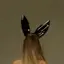 choのプロフィール画像