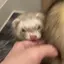 kurehaのプロフィール画像