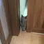 ひさののプロフィール画像