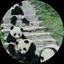 akkoのプロフィール画像