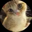 とももこのプロフィール画像