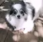 makikoのプロフィール画像