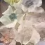 みかんのプロフィール画像