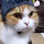 あやのプロフィール画像