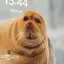 けぴちゃんのプロフィール画像
