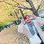 岡本萌佳のプロフィール画像