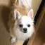みーのプロフィール画像