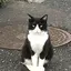 さほのプロフィール画像
