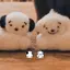 もものプロフィール画像