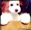 メルモのプロフィール画像