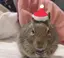 なっちゃんのプロフィール画像