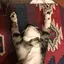 Aocatsのプロフィール画像