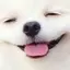 YURINAのプロフィール画像