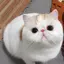 りちゃんのプロフィール画像