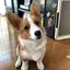 南帆のプロフィール画像