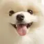 ゆうのプロフィール画像