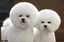 yukoのプロフィール画像