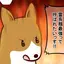 ぽこすけのプロフィール画像