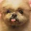 はあとのプロフィール画像