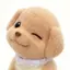 ദ്ദി>ᴗ<)🎀✧のプロフィール画像