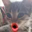 Mのプロフィール画像