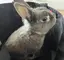 なおのプロフィール画像
