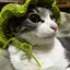 あかねのプロフィール画像