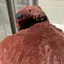ななのプロフィール画像