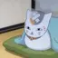 まゆのプロフィール画像