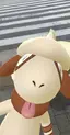 祥江のプロフィール画像