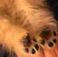 なちこのプロフィール画像
