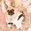 ちののプロフィール画像