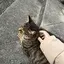 みぃのプロフィール画像