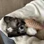 花音のプロフィール画像