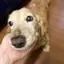 meimeiのプロフィール画像