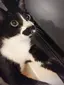 えまゆのプロフィール画像