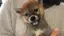 ななのプロフィール画像