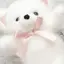 Rのプロフィール画像
