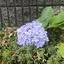 遥香のプロフィール画像
