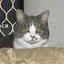 nnのプロフィール画像