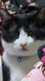 おちづのプロフィール画像