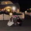 すずのプロフィール画像